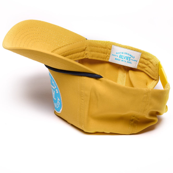 Yellowbelly Sap Sucker Yellow