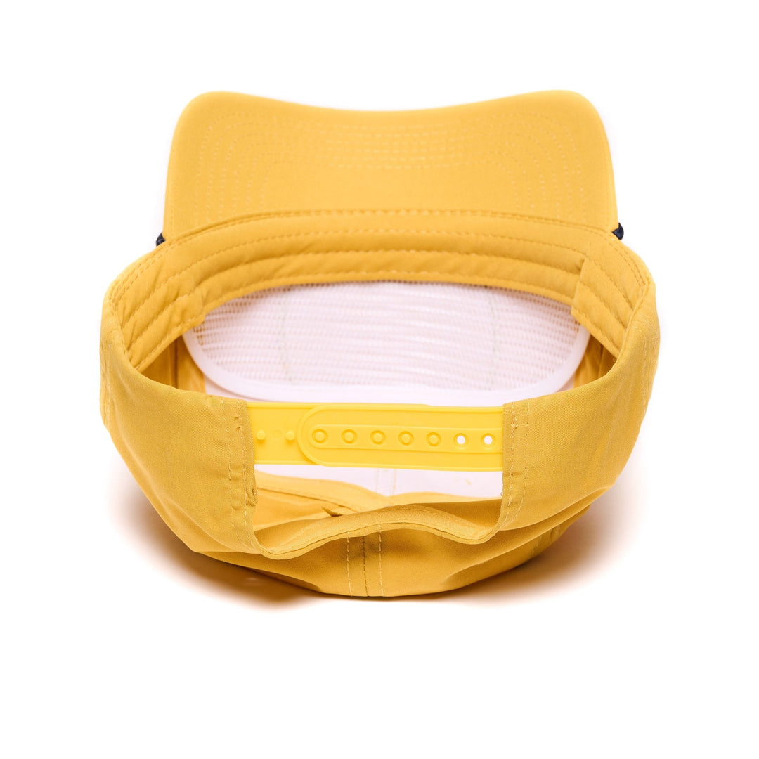 Yellowbelly Sap Sucker Yellow