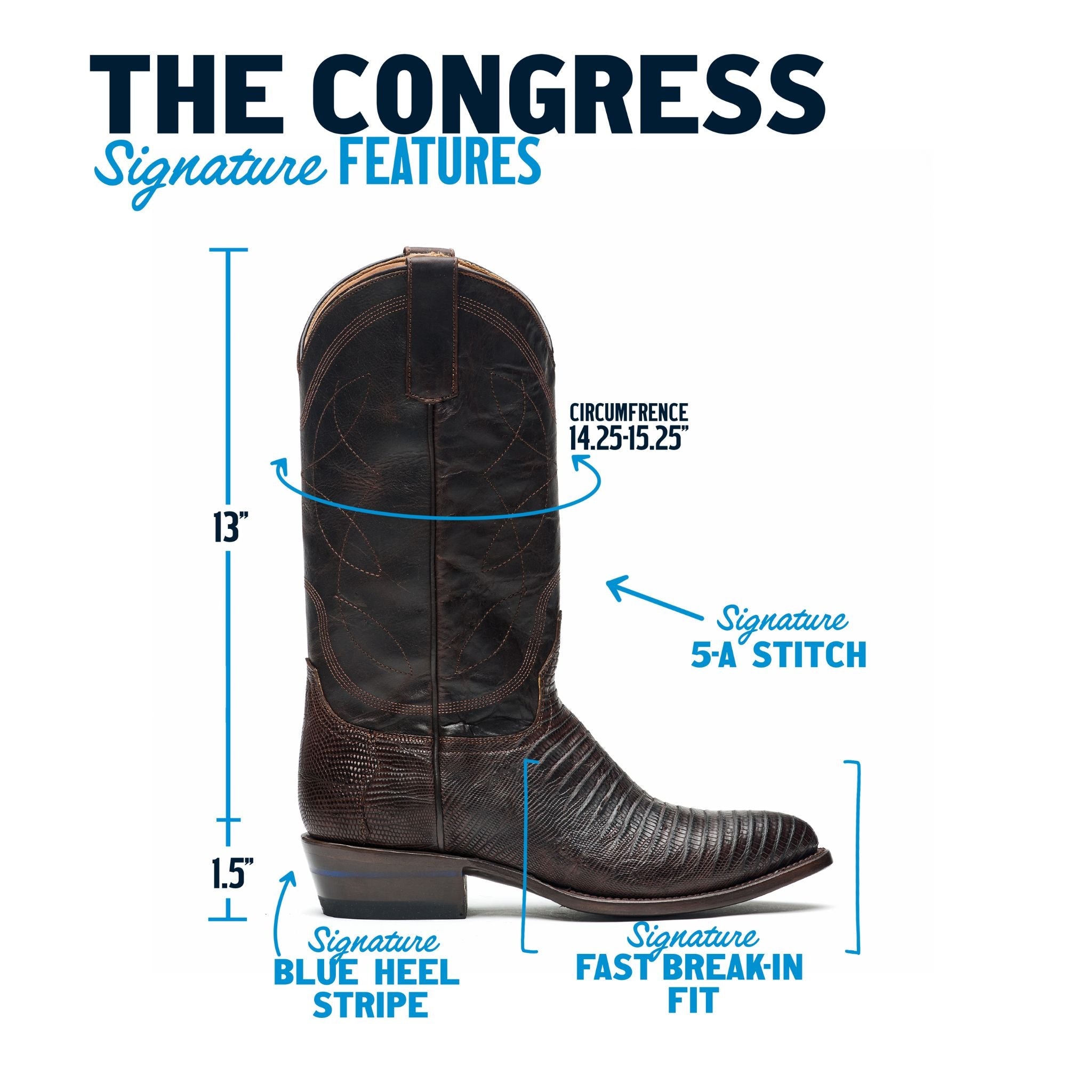 The Congress Men's Teju Lizard Cowboy Boot – Alvies